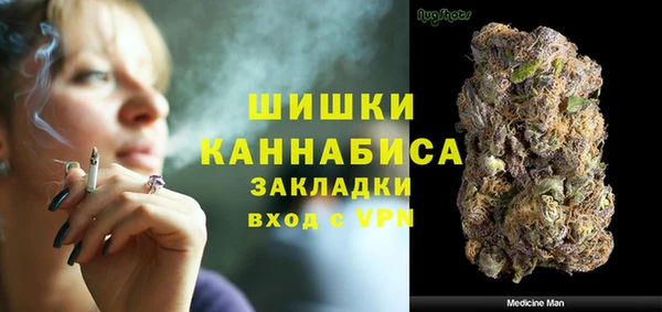 PSILOCYBIN Заволжск