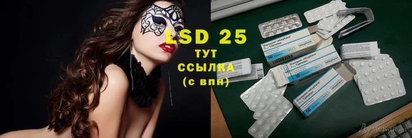 PSILOCYBIN Заволжье