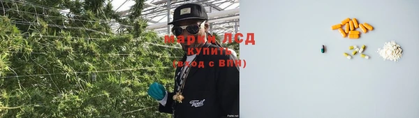 PSILOCYBIN Заволжск